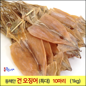 [포항 죽도시장] 동해안 일반 오징어 (특大) 10마리 (1kg내외) 마른 오징어