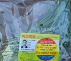 [에코파파한마을팜]약부추 당뇨예방 친환경 (100g)