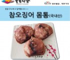[죽도시장] 국산 참오징어 몸통 500g