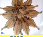 [포항 죽도시장] 반건조 물가자미 미주구리 1kg기준 특미