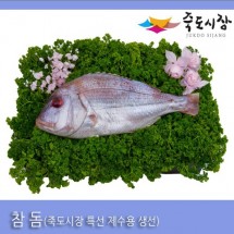 [죽도시장] 참돔(제수용생선) 33Cm-35Cm / 1마리 / 경북 동해안 최대 전통시장 죽도시장 특선 제수용 생선